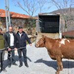 KULA’DA YILDIRIMIN YARALARINI AK PARTİ TEŞKİLATI SARDI